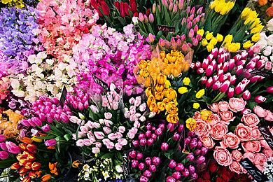 《大富翁11》现已完全支持Steam Deck